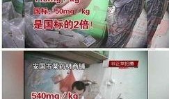 枸杞硫磺爆料视频播放,视频曝光行业黑幕