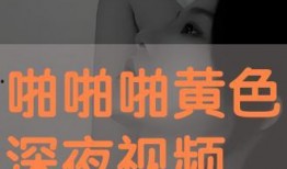 深夜啪啪视频在线观看,揭秘热门在线啪啪视频背后的故事